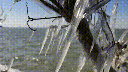 上海淀山湖畔现冰凌奇观