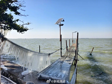 上海淀山湖畔现冰凌奇观