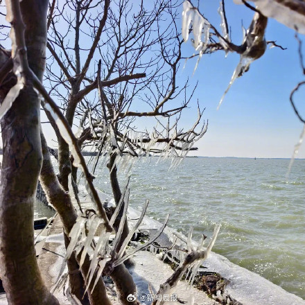 上海淀山湖畔现冰凌奇观