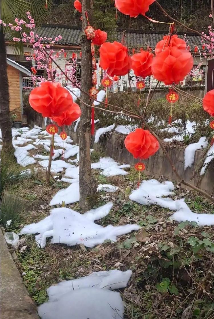 用棉花造雪景？四川一景区公开致歉
