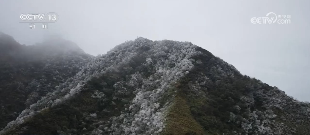 一键开启“冰雪”模式 冬日限定版美景在各地上演