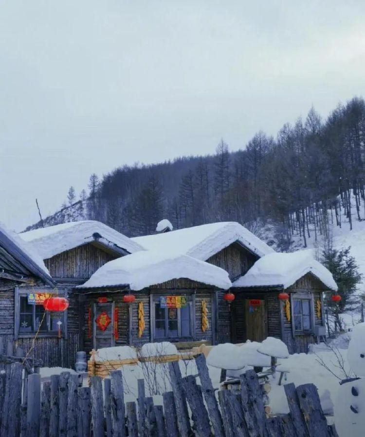 用棉花造雪景？四川一景区公开致歉