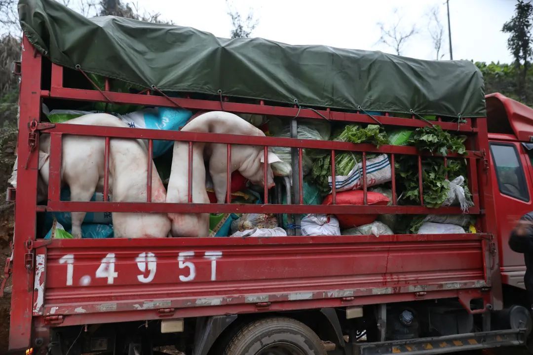 现场直击!宜宾筠连山体滑坡36小时生命救援 现场直击!宜宾筠连山体滑坡36小时生命救援