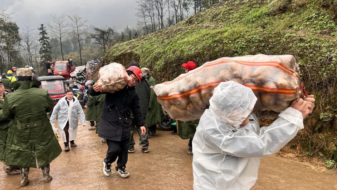 现场直击!宜宾筠连山体滑坡36小时生命救援 现场直击!宜宾筠连山体滑坡36小时生命救援