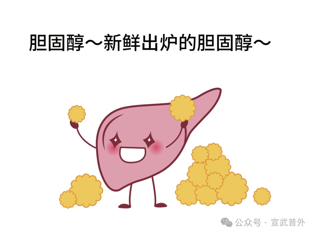 花生：一场味蕾与健康的邂逅
