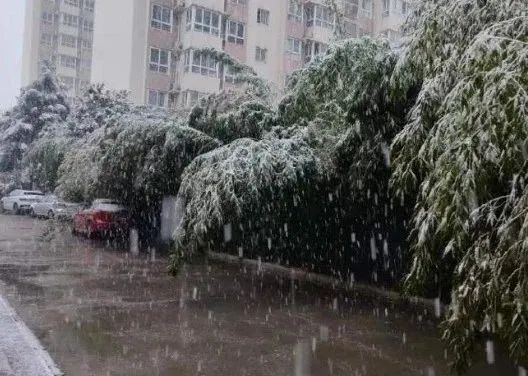 小雪、雨夹雪、局地降温8℃！陕西最新预报！ 西安雨雪时间在→