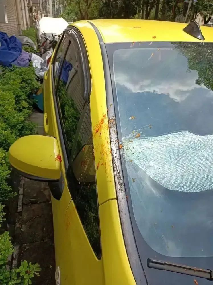 广州一小区被两车故意堵门，此前曾有车被丢鸡蛋，原因竟是……