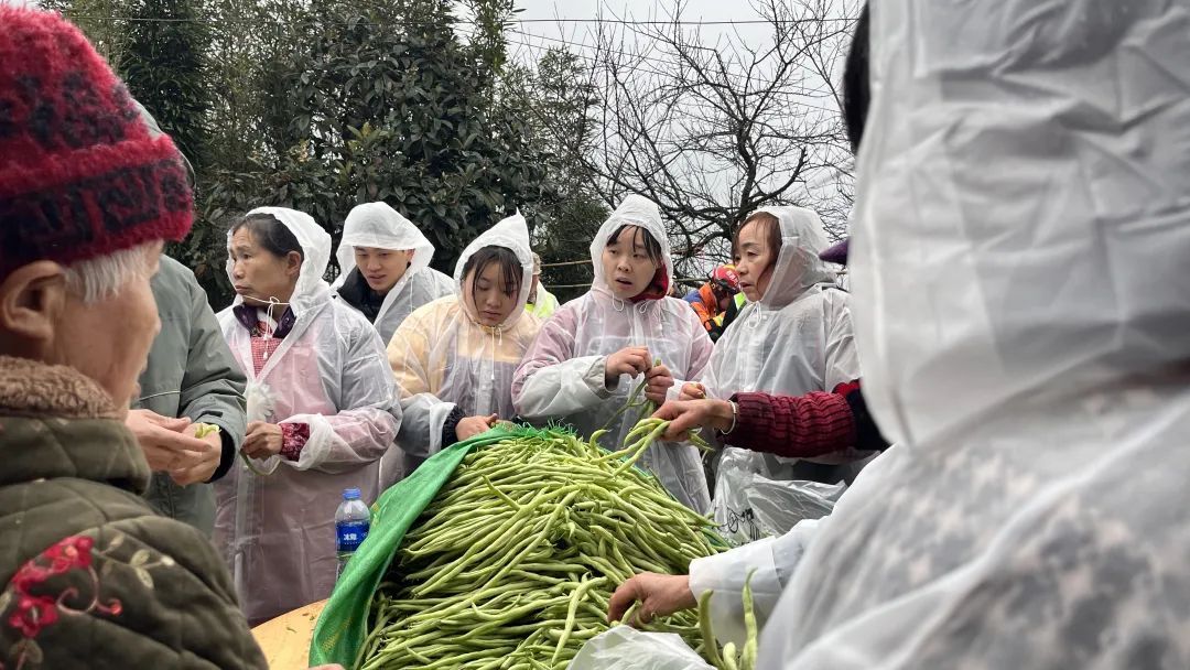 现场直击!宜宾筠连山体滑坡36小时生命救援 现场直击!宜宾筠连山体滑坡36小时生命救援