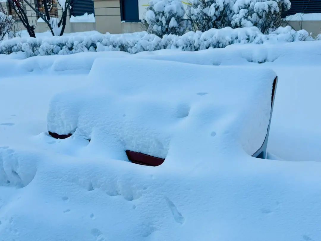 沈阳启动最新预警！辽宁还有大雪、暴雪！正月十五会现“雪打灯”吗？