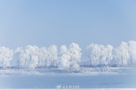 松花江畔雾凇美成了冰雪世界