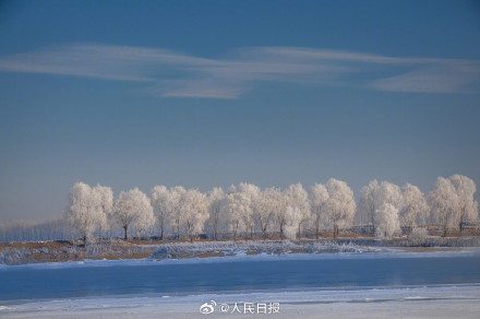 松花江畔雾凇美成了冰雪世界