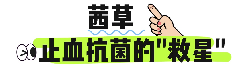 “申公豹代购药单”，有……有点东西！