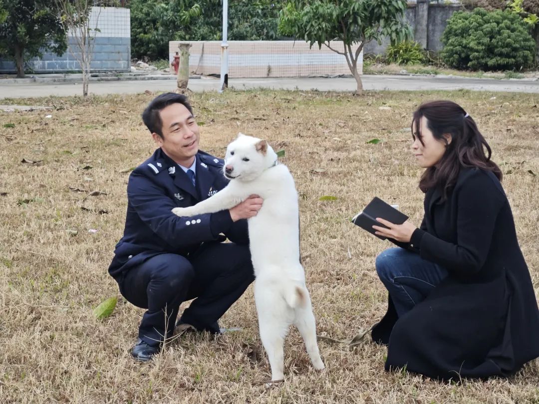 大显身手，广西山地犬凭实力晋级新警犬