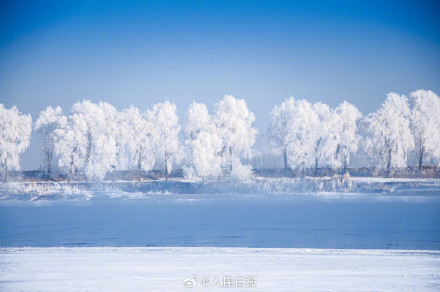 松花江畔雾凇美成了冰雪世界