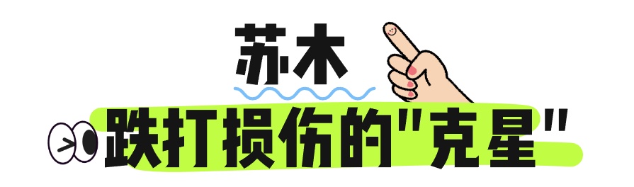 “申公豹代购药单”，有……有点东西！