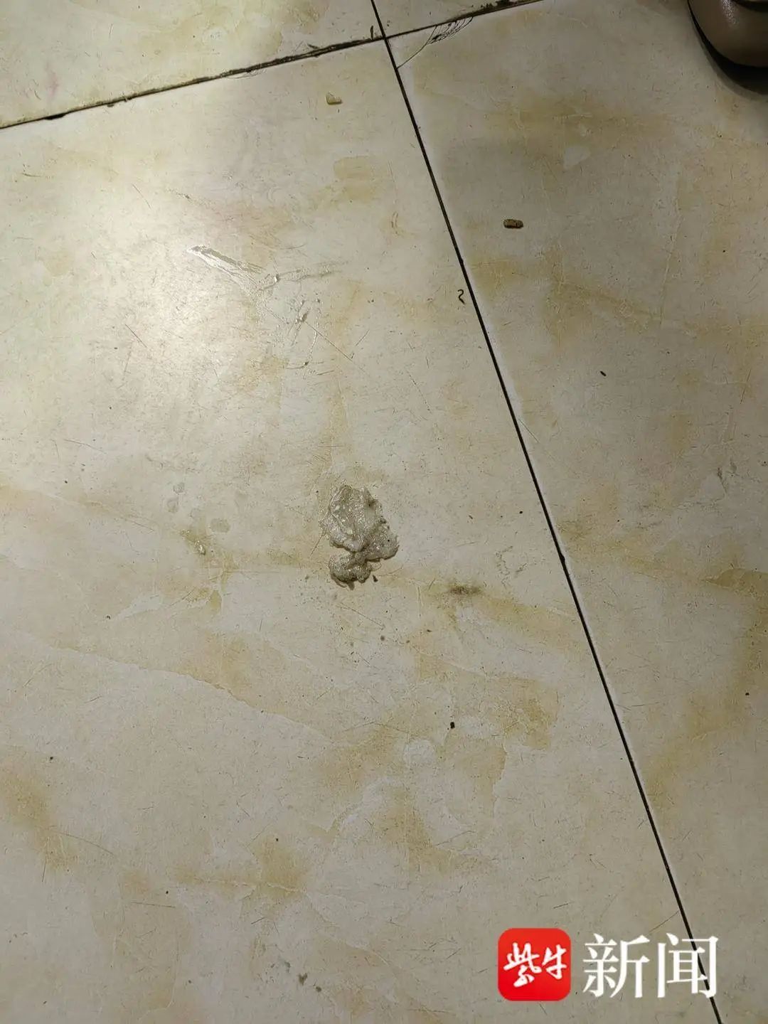 老人买菜摔伤,索赔20万元遭市场拒赔!法院判了 老人买菜摔伤,索赔20万元遭市场拒赔!法院判了