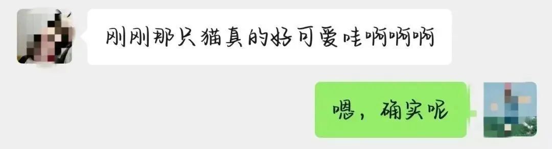 又一次被朋友的“聊缩力”创到啦……网友：懂的人都知道里面的门道有多深