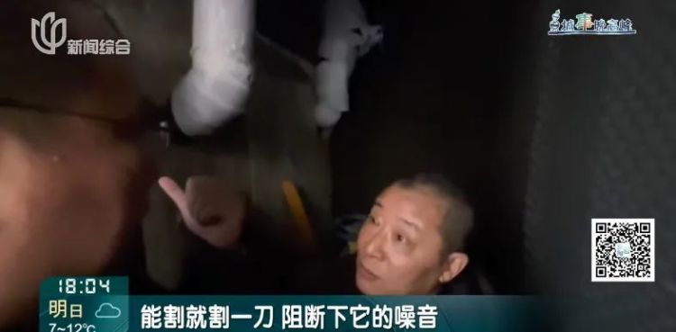 怪异！居民家中频繁听到类似"吹哨子"声响，深夜尤甚！真相竟是……