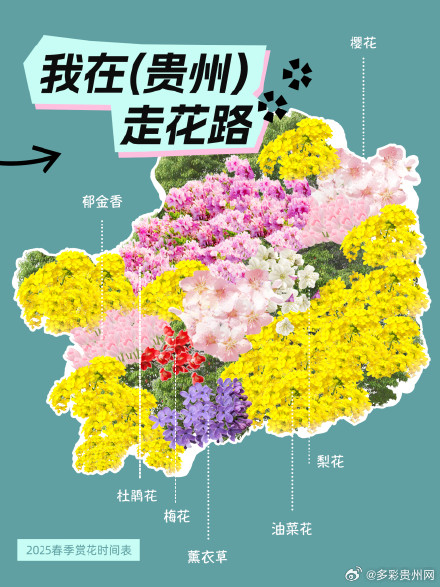贵州花海打卡指南 贵州花海打卡指南