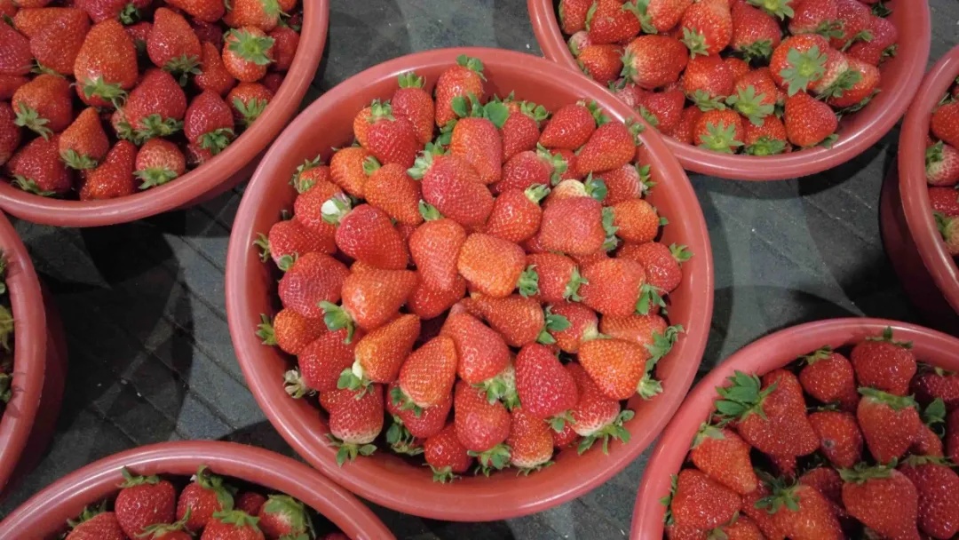 属实！价格暴跌！浙江老板：库存都卖空了