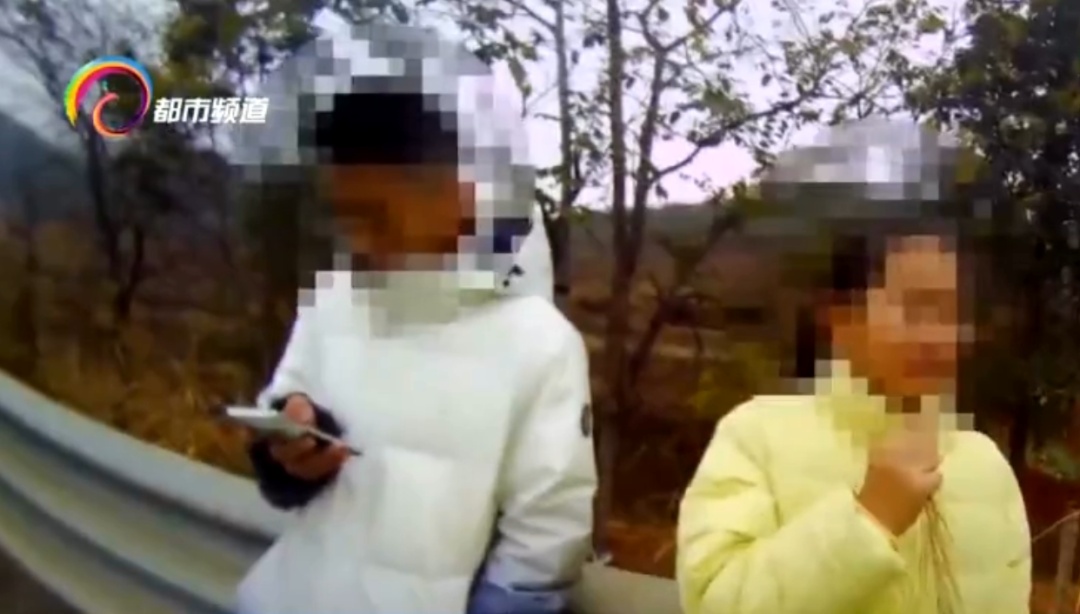 太离谱！孩子高速上被赶下了车，父亲：都怪手机……