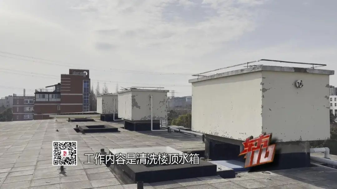 情迷双眼，他们以爱为名走上人生歧途