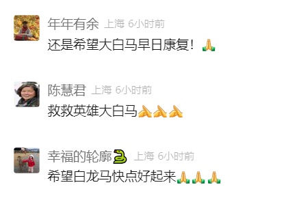 白龙(7岁),不幸去世!死因公布 白龙(7岁),不幸去世!死因公布