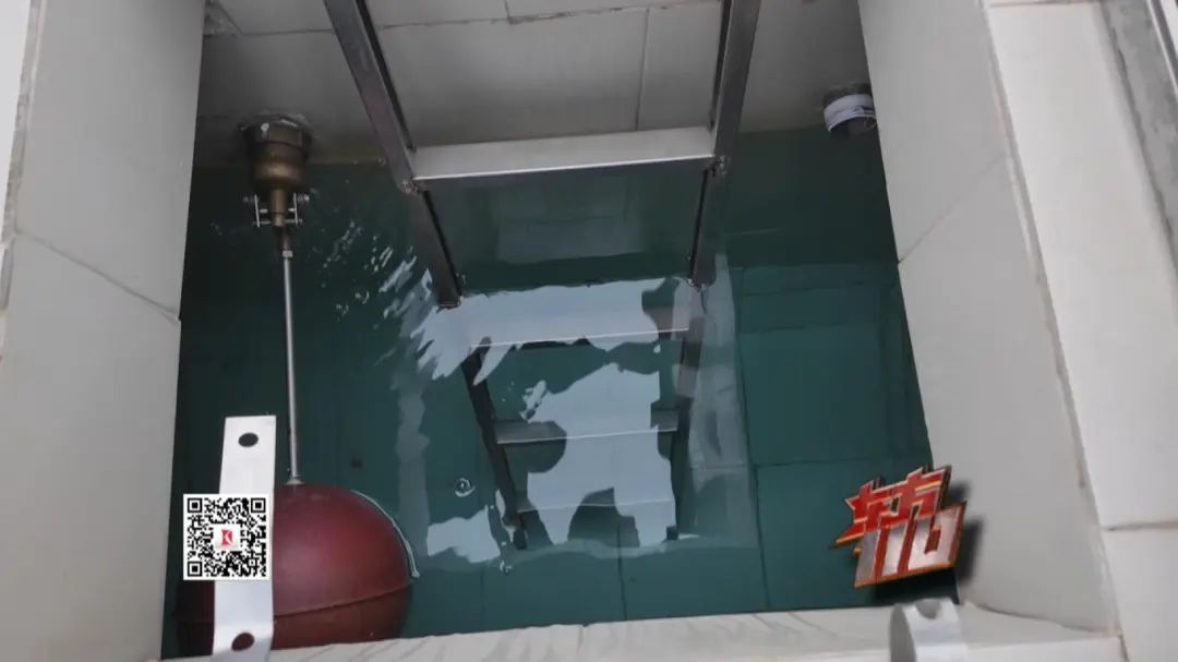 情迷双眼，他们以爱为名走上人生歧途