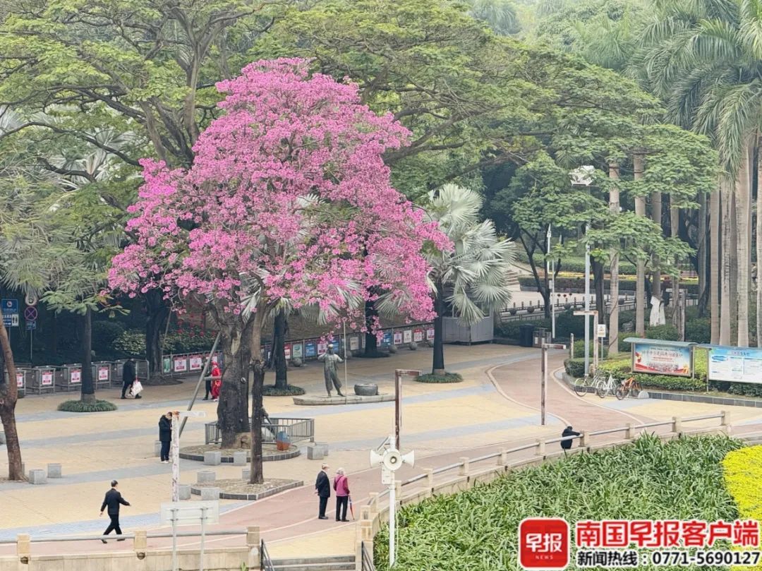 冷空气抵达广西！回南天将结束，但还会卷土重来……