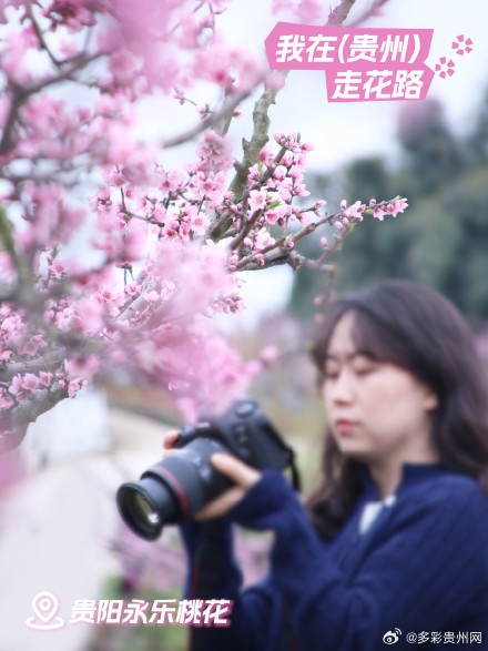 贵州花海打卡指南 贵州花海打卡指南