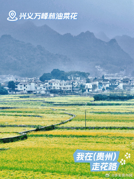 贵州花海打卡指南 贵州花海打卡指南