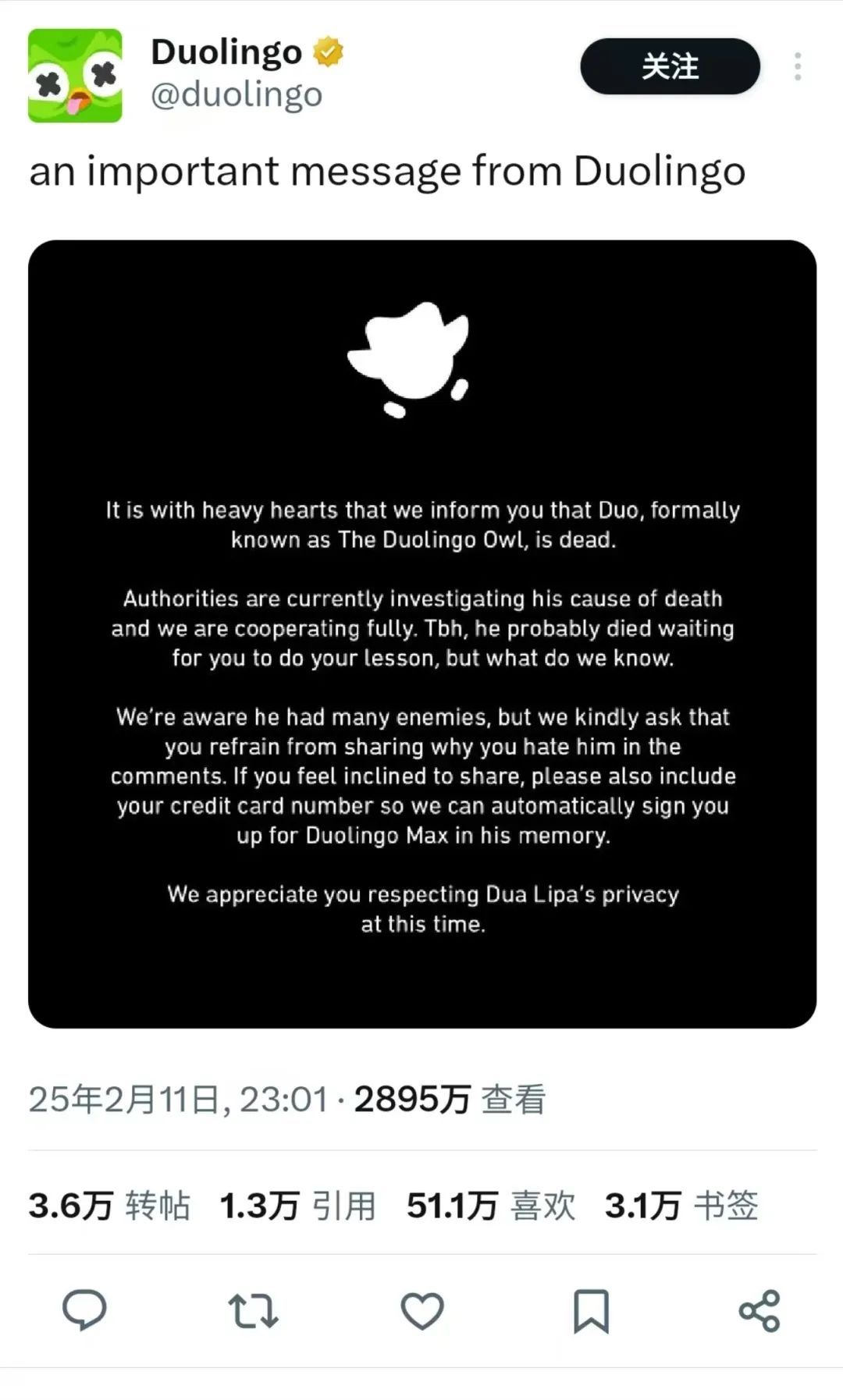 “多邻国”吉祥物猫头鹰去世？官方出马，花式整活