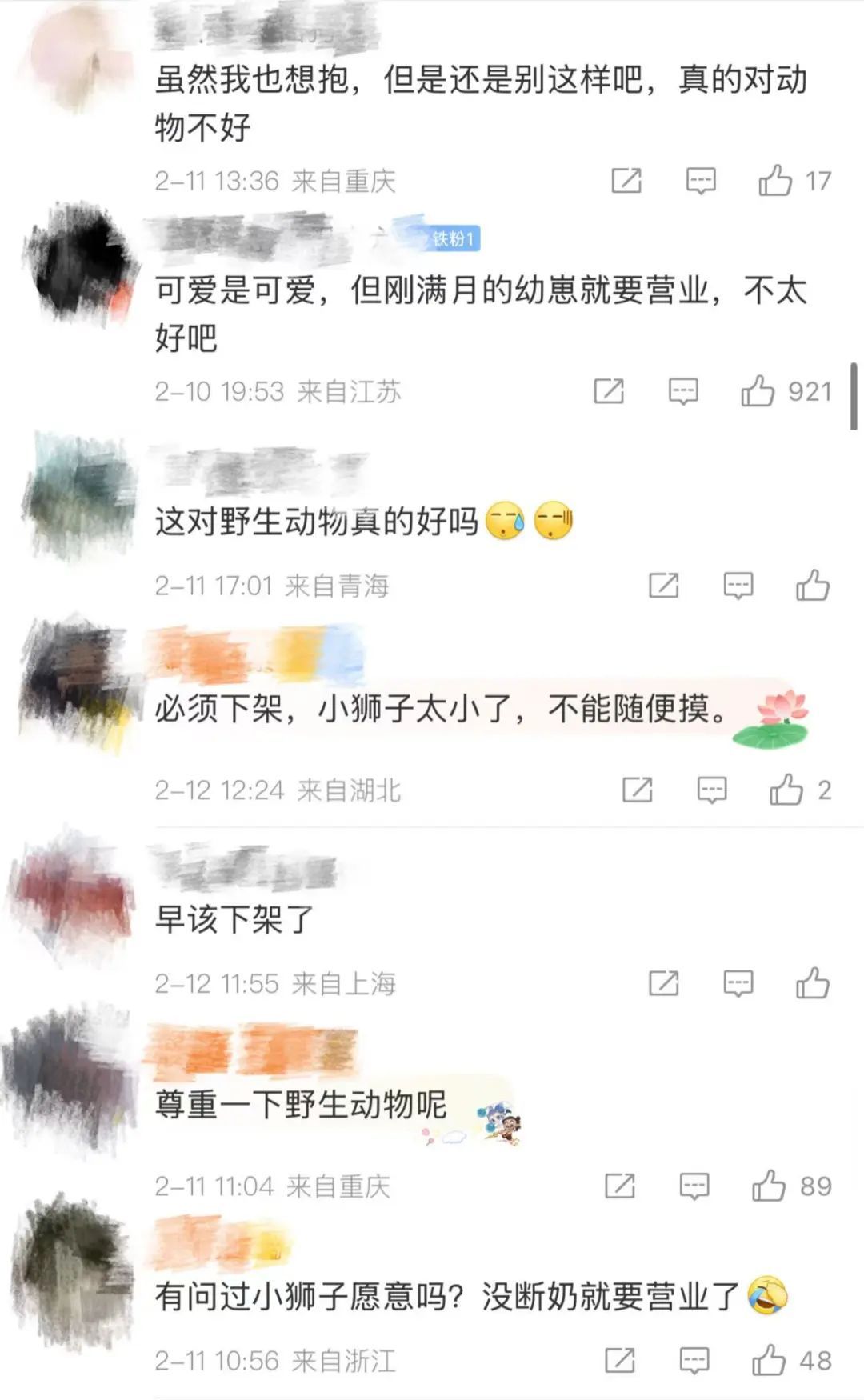 惊呆！花268元边喝咖啡边摸狮子？网友：还是别吧...