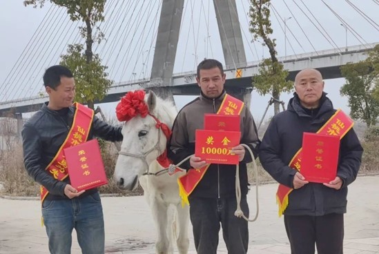 噩耗传来！湖北仙桃勇救落水者的“白龙”马不幸离世