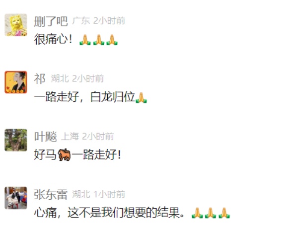 白龙(7岁),不幸去世!死因公布 白龙(7岁),不幸去世!死因公布