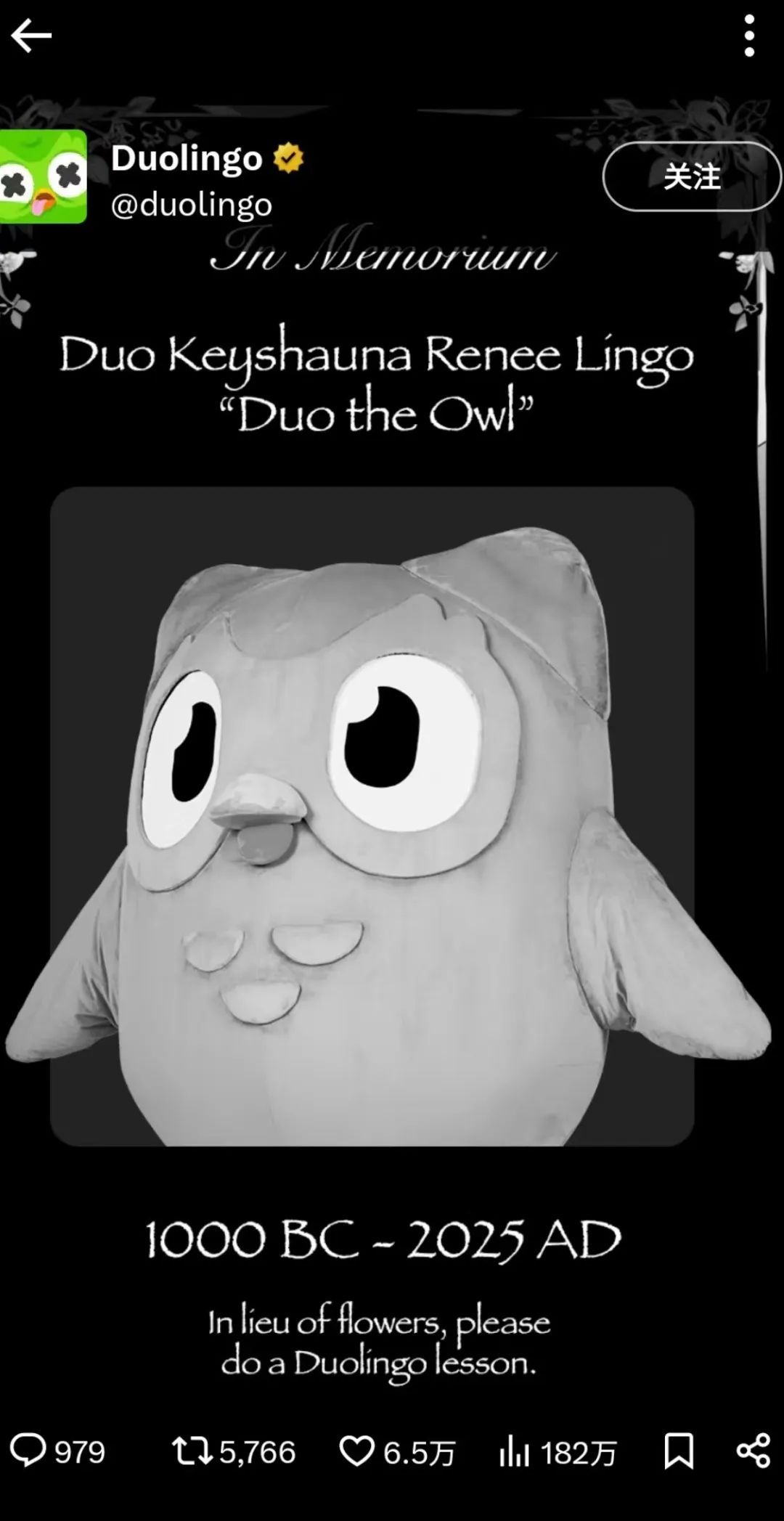 “多邻国”吉祥物猫头鹰去世？官方出马，花式整活