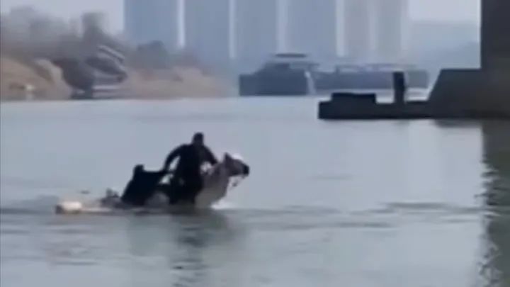 突发！冲入江中救人的“白龙”马离世