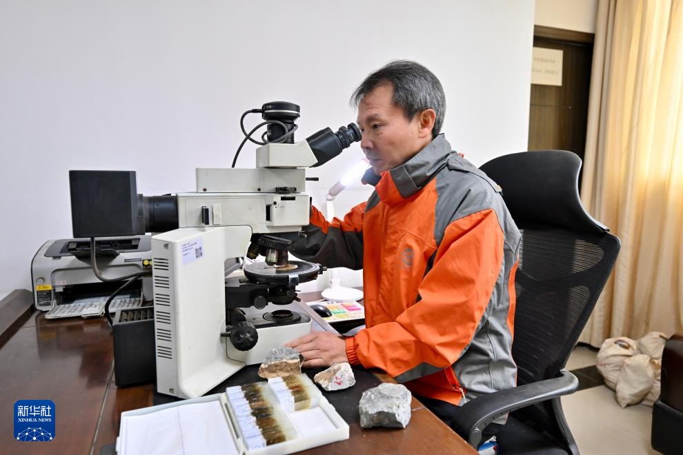 中国发现世界最早的鸟类之一 改写鸟类演化历史