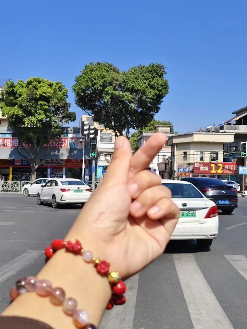 火了火了,广州这棵树太有爱了 火了火了,广州这棵树太有爱了