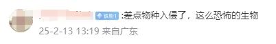 事发上海浦东机场:海关截获世界上毒性最强活体毒蛙!国家安全机关提示→ 事发上海浦东机场:海关截获世界上毒性最强活体毒蛙!国家安全机关提示→