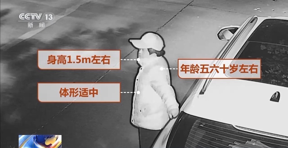 法治在线丨丢失的货款、黄金、电动车……都已快速追赃挽损 怎么做到的？