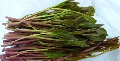 千万别碰！这部热映电影里的隐藏细节，你发现了吗？