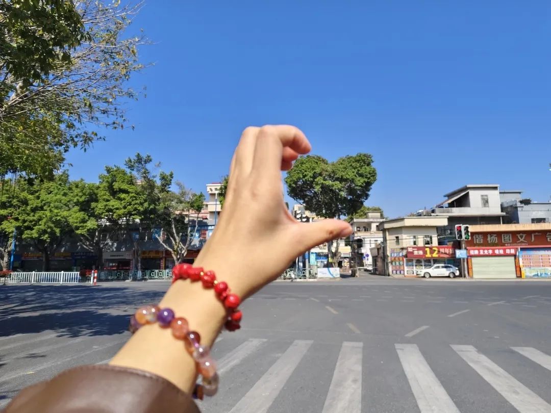 火了火了,广州这棵树太有爱了 火了火了,广州这棵树太有爱了