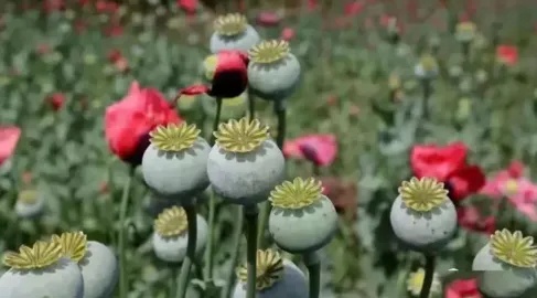 千万别碰！这部热映电影里的隐藏细节，你发现了吗？