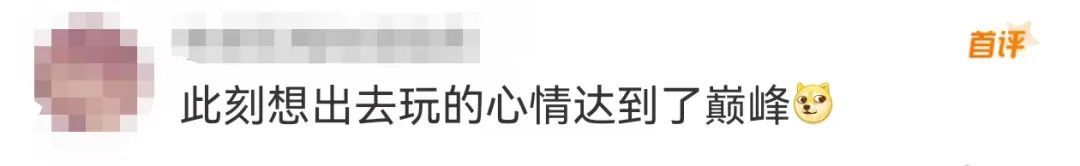 价格暴跌！最低只要1块钱，网友直呼“好夸张”