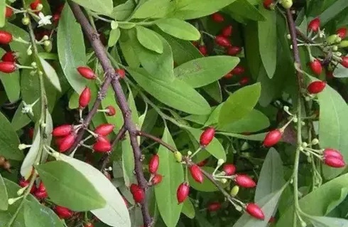 千万别碰！这部热映电影里的隐藏细节，你发现了吗？