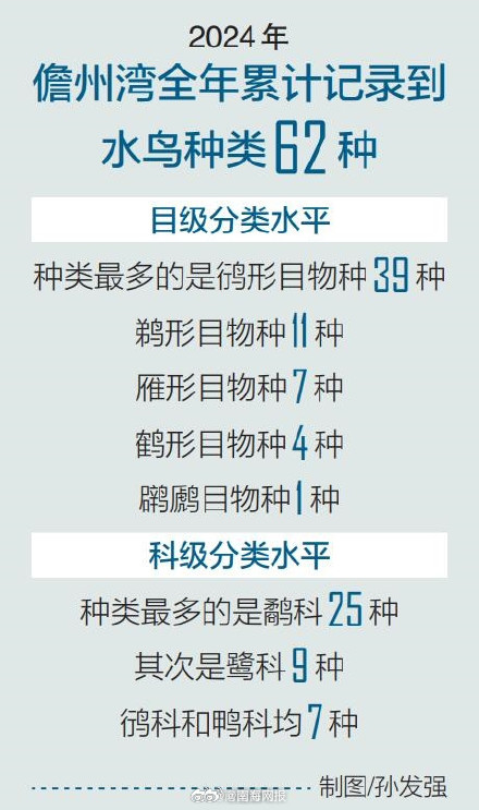 2024年儋州湾监测到水鸟超10万只次