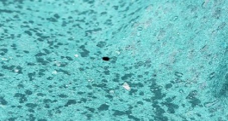 苏州无锡下雪啦？气象专家回应