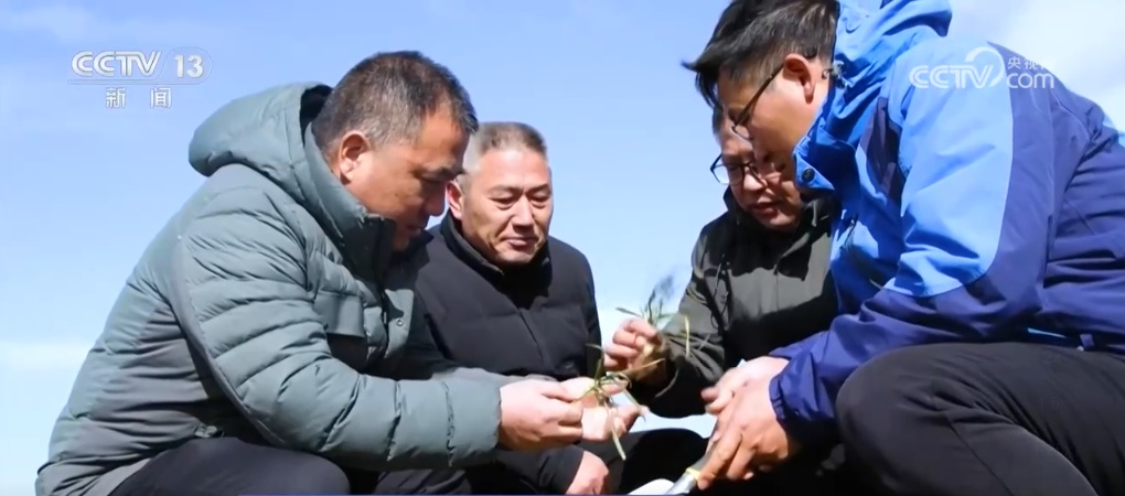 新技术、新科技助力小麦春管 智能设施为夏粮丰收按下“确定键” 新技术、新科技助力小麦春管 智能设施为夏粮丰收按下“确定键”