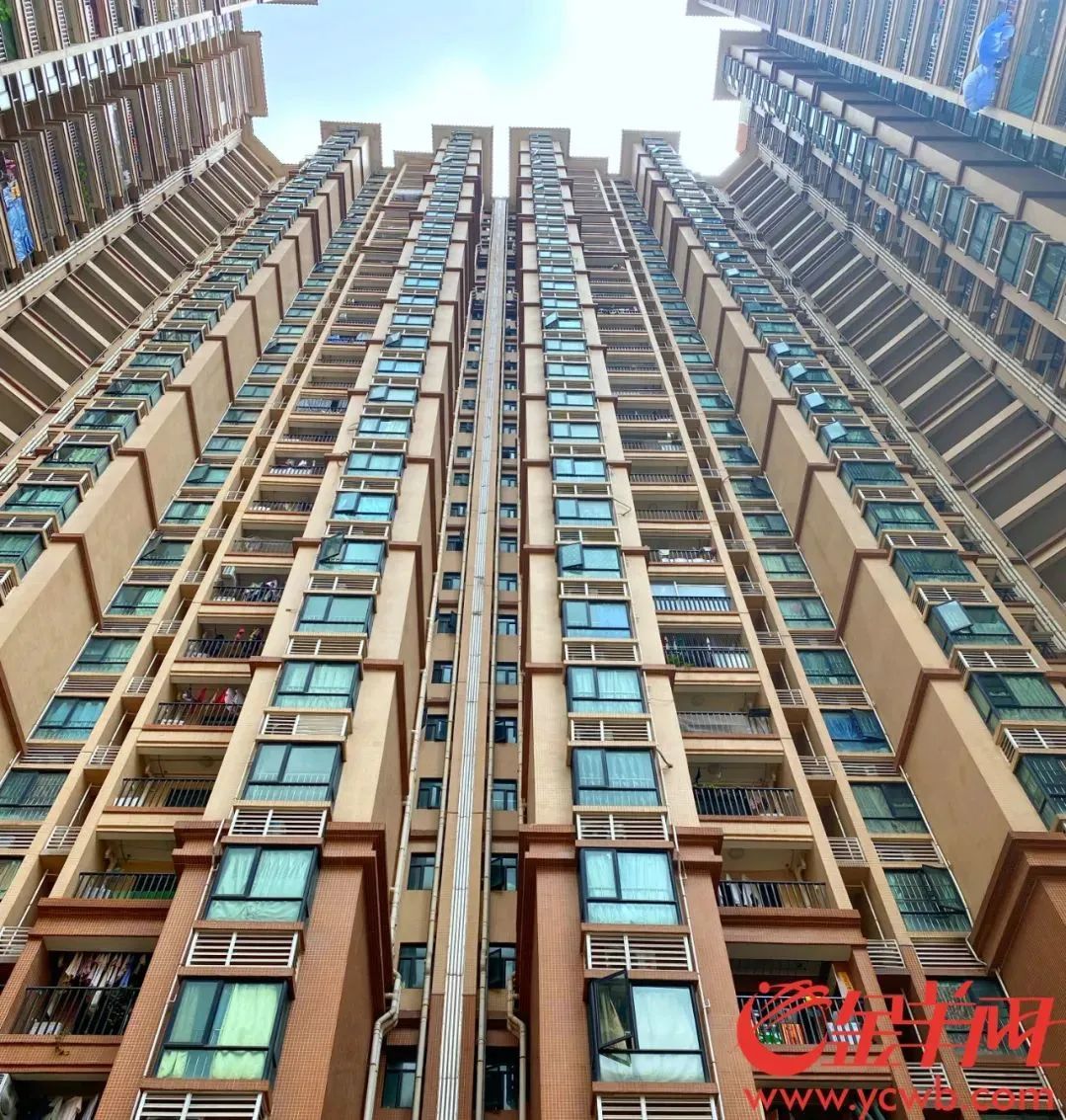 住满5年还能续！租金还打折！广州最新出台→